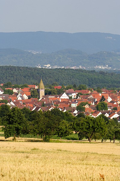 Blick auf Walddorf