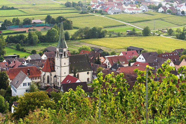 Blick auf Unterjesingen