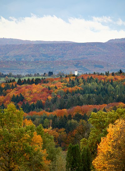 autumn forest with view of Schwaebische Alb