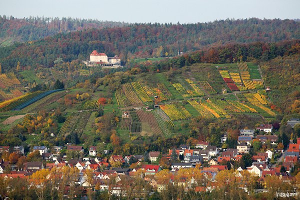Blick auf Unterjesingen und Schloss Roseck von der Wurmlinger Kapelle