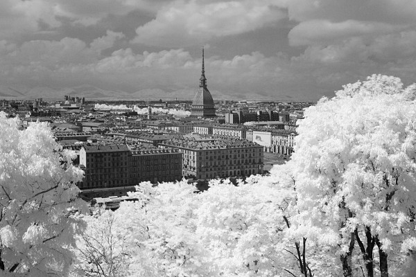 view of central Turin with the Mole Antonelliana with some trees in the foreground, black-and-white infrared photograph