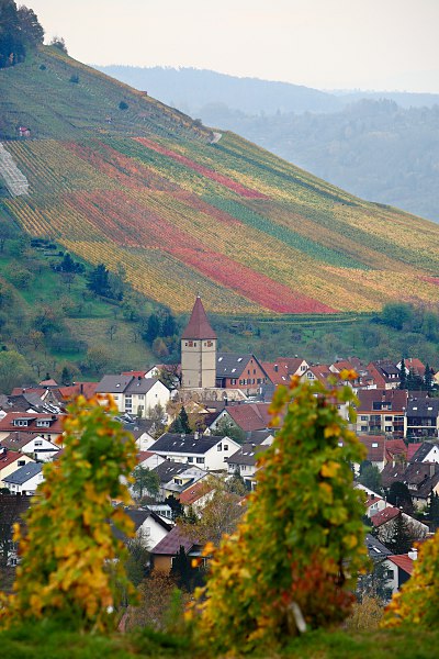 view of Korb (Steinreinach tower and Hrnleskopf) in autumn