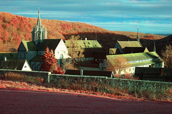 Bebenhausen false-colour infrared photograph (NRG)