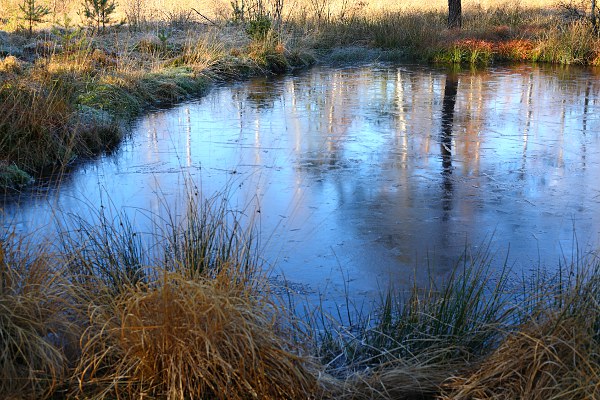 Spiegelung im zugefrorenen Birkensee