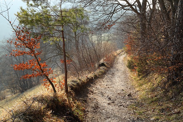 path on the Schwbische Alb