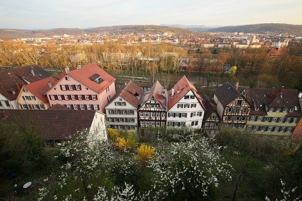 houses alongside the Neckarhalde