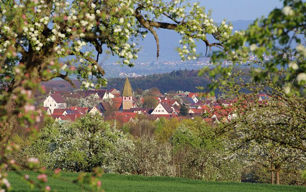 Blick auf den Ortskern von Walddorf (Walddorfhslach) eingerahmt von der Obstblte