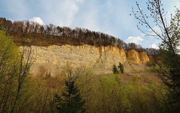 Blick auf die Felswand des Mssinger Bergrutschs (Hirschkopf, Schwbische Alb)