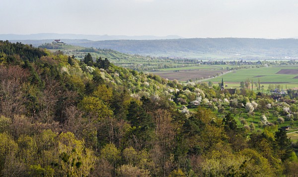 Blick vom Schloss Roseck zur Wurmlinger Kapelle (Hohenzollern rechts dahinter).