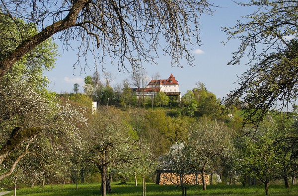 Schloss Roseck