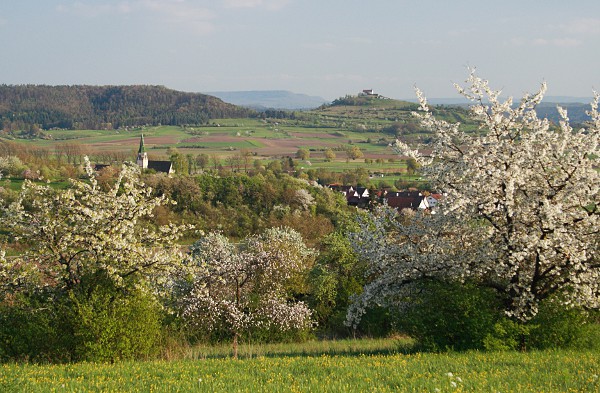 Blick auf Unterjesingen und die Wurmlinger Kapelle