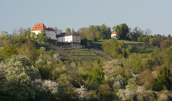 Schloss Roseck von Sden