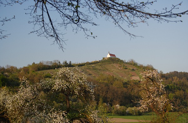 Wurmlingen Chapel in evening light