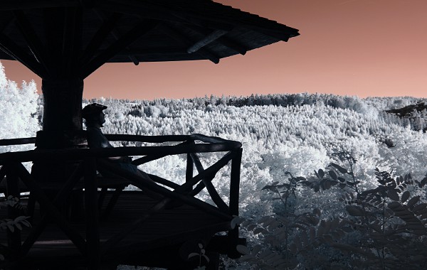 Falkenkopfhtte in Schnbuch forest, infrared