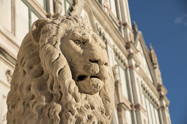 stone lion, Santa Croce, Florence
