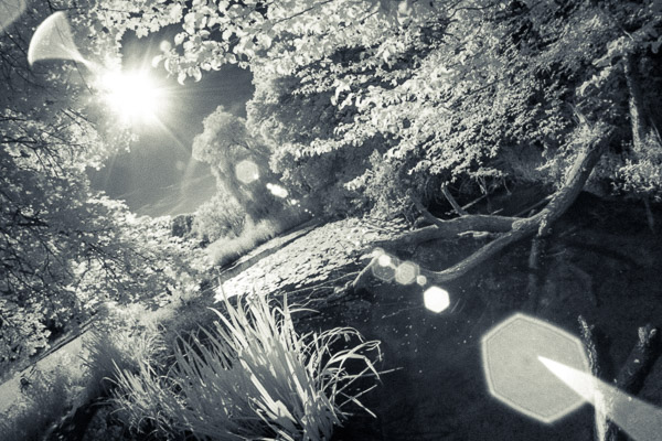 infrared image lake