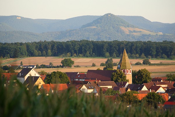 Blick auf den Ortskern von Walddorf und die Achalm im Abendlicht.