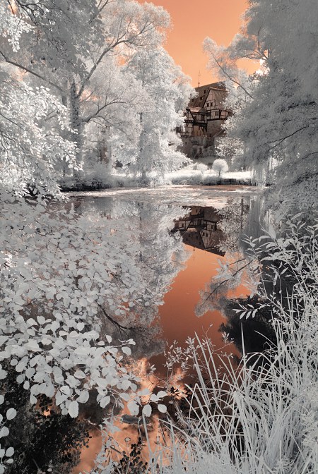Bebenhausen pond infrared (BW091)