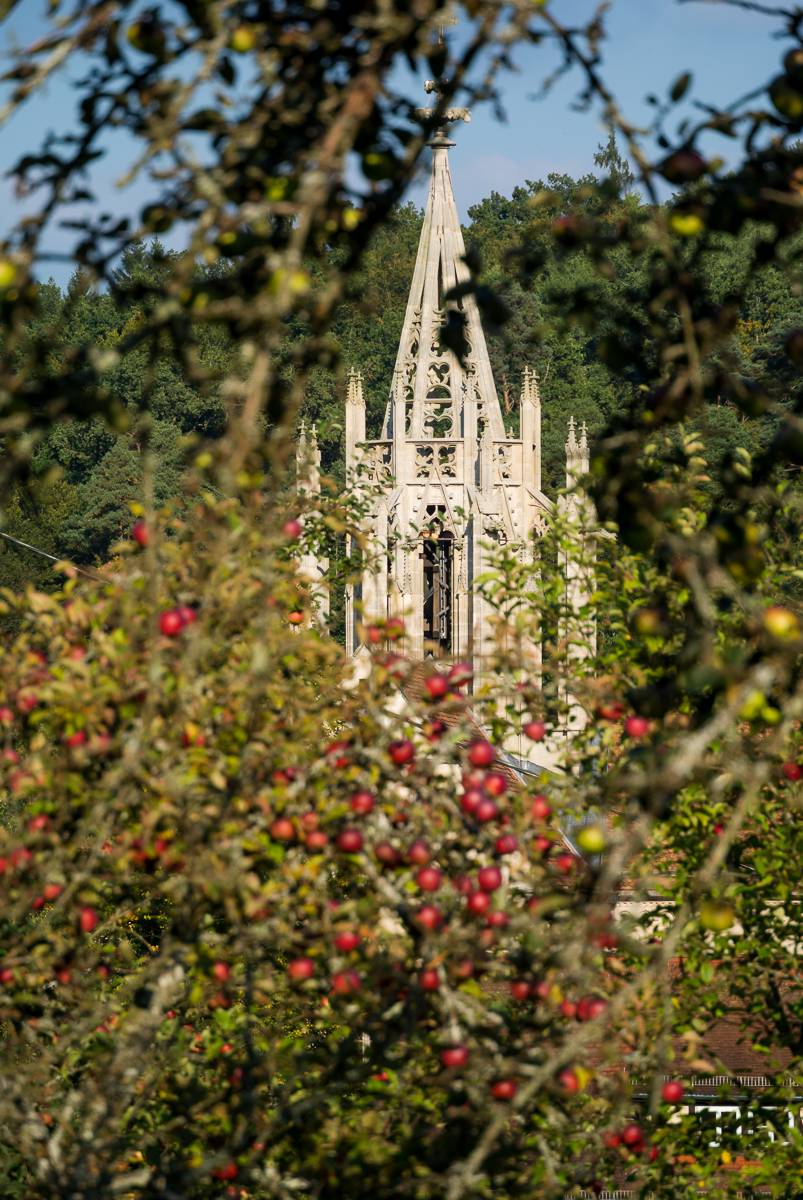 red apples and the church tower of Bebenhausen monastery
