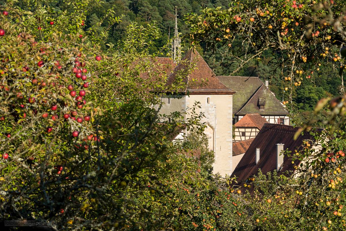 view of fruit trees and part of Bebenhausen monastery