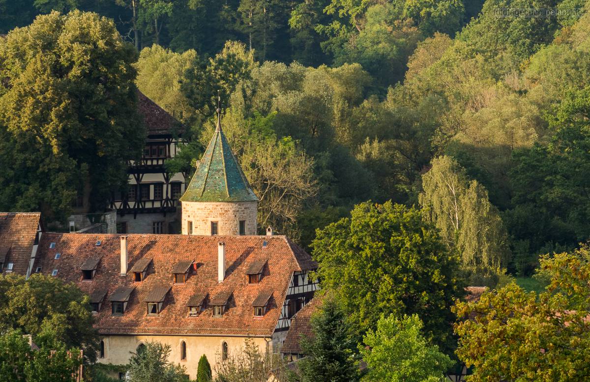 Bebenhausen - Green Tower and surrounding nature