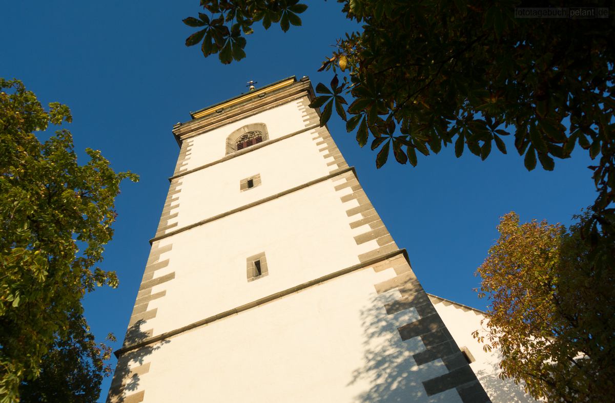 Kirchturm der Martinskirche in Metzingen