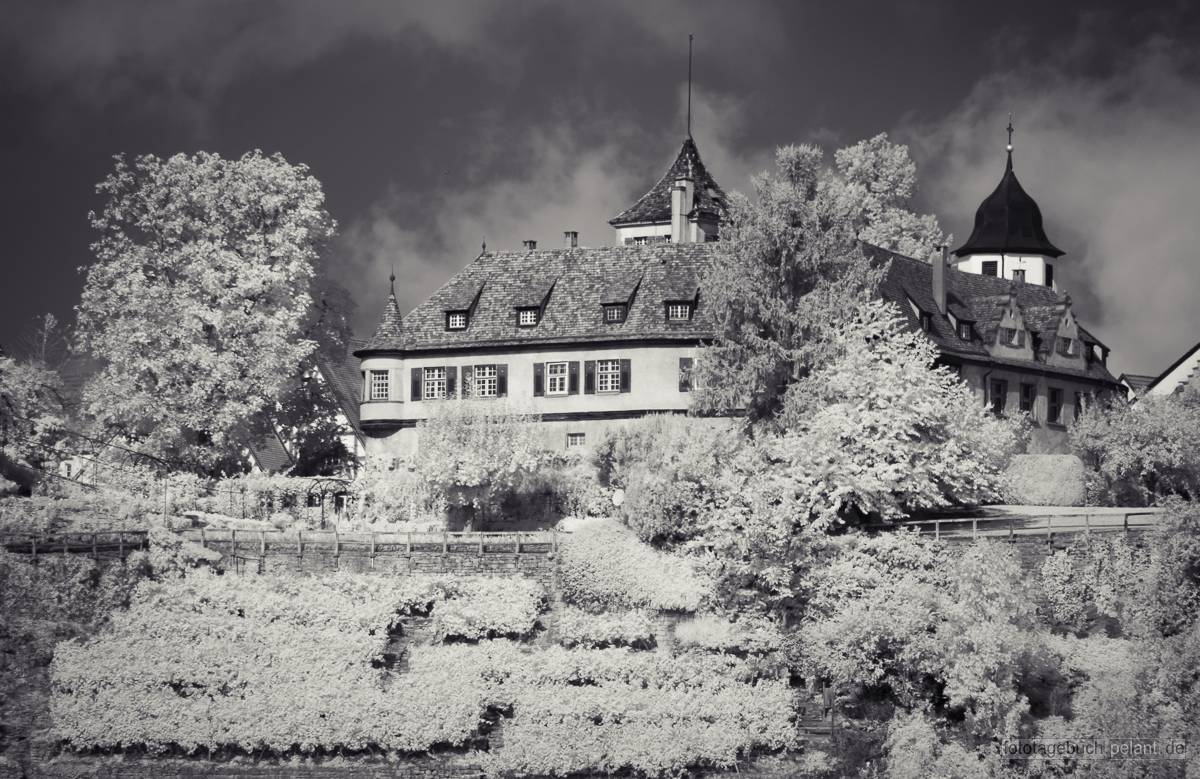 Kleiningersheimer Schloss Infrared