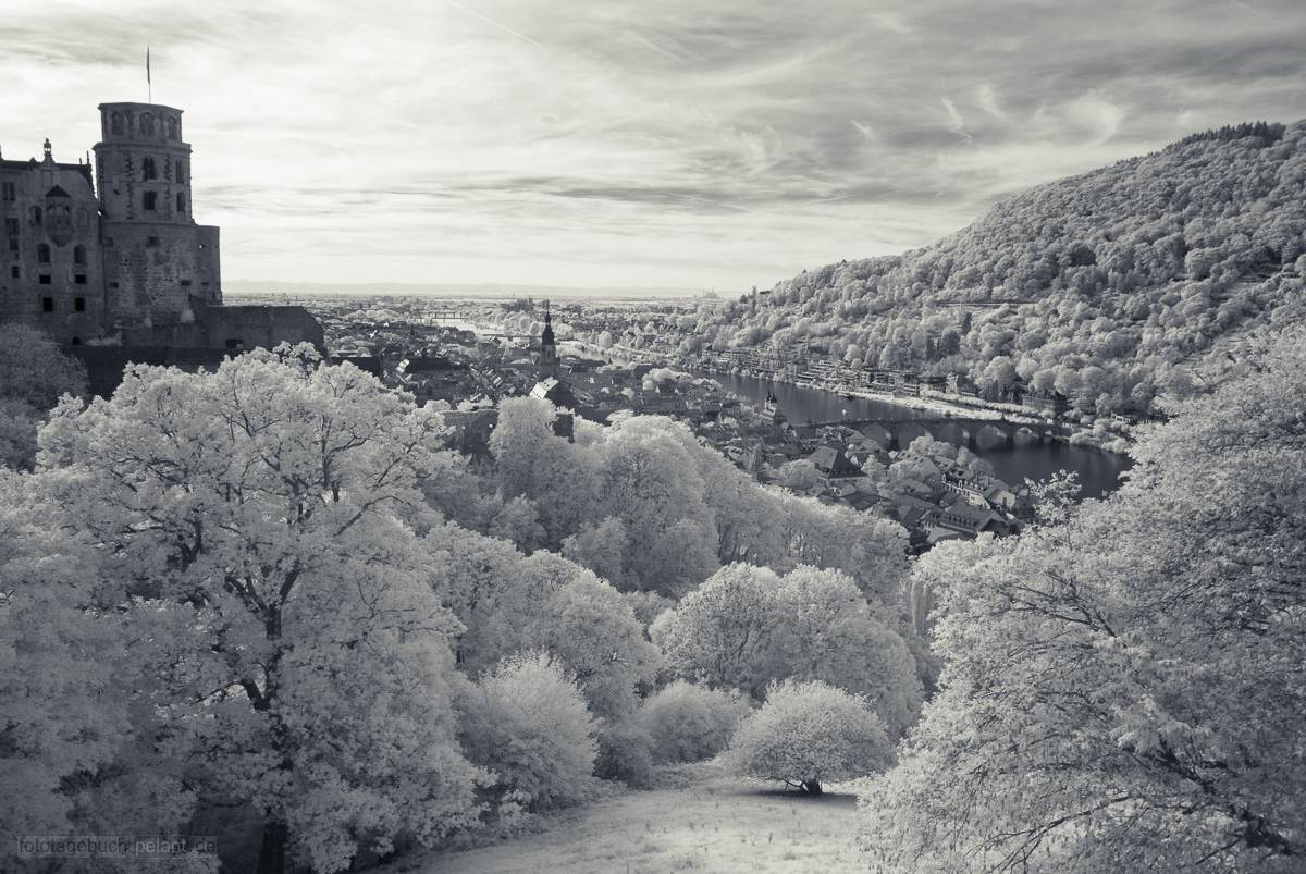 Heidelberger Schloss Infrarotaufnahme
