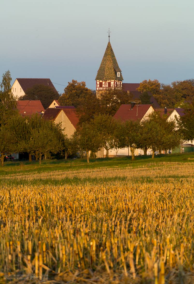 Blick auf Walddorf im Abendlicht