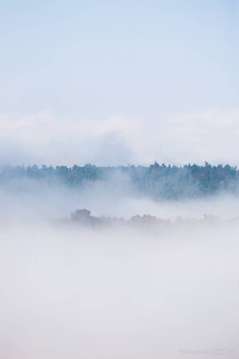 autumn fog covers Schnbuch forest