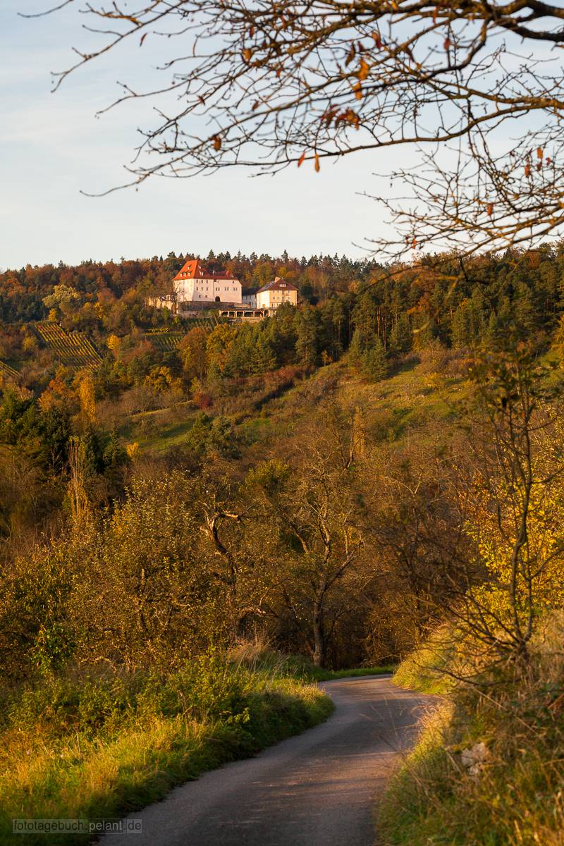 Weg Richtung Schloss Roseck im Herbst