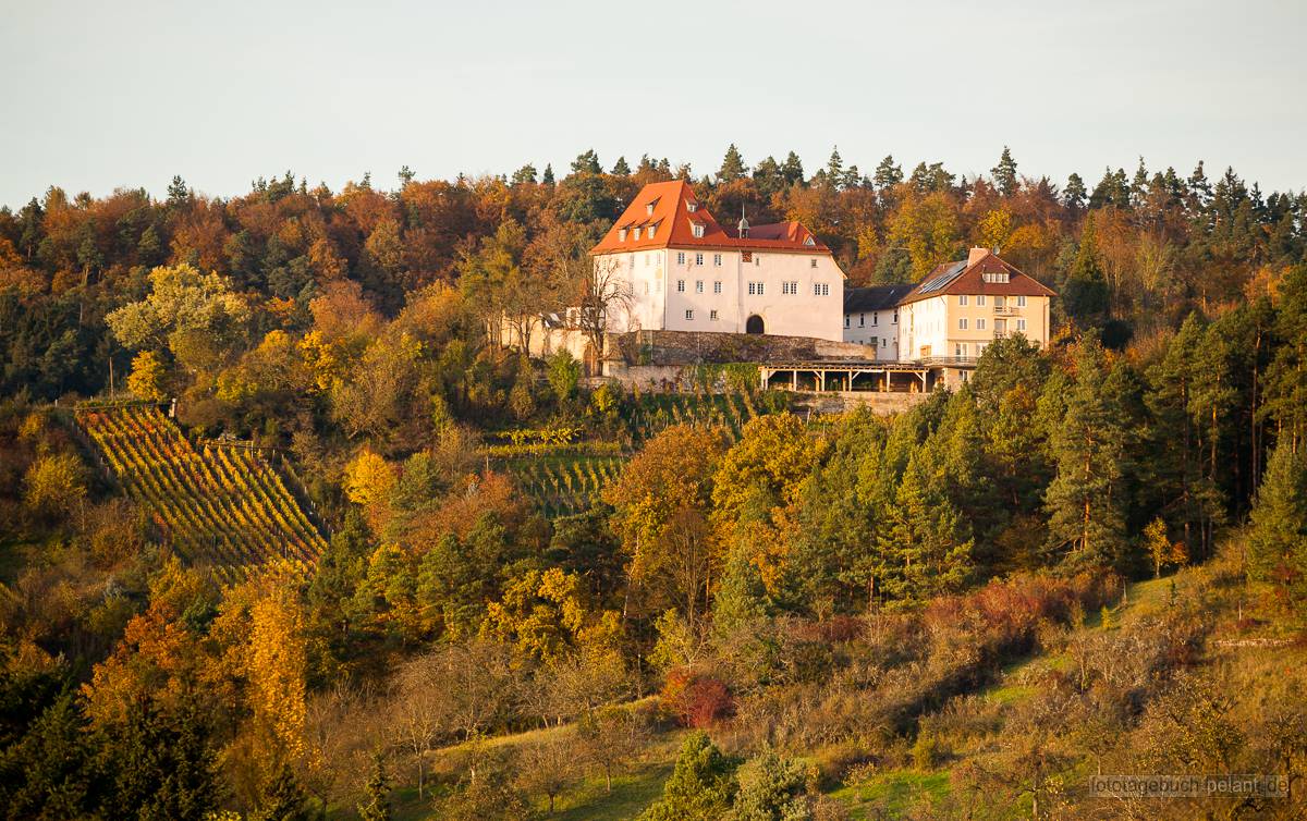 Roseck castle in autumn