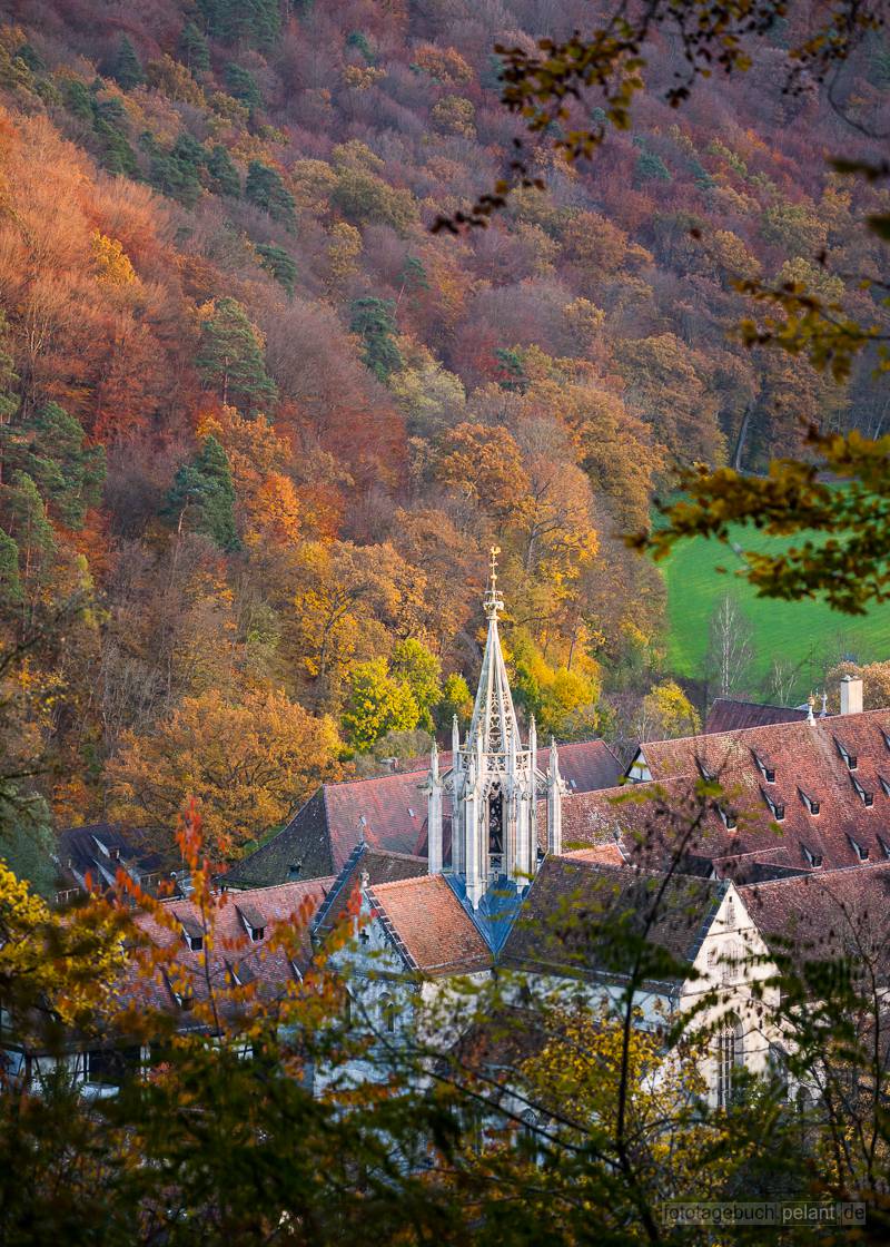 Blick auf Bebenhausen von der Mrike-Ruhe im Herbst