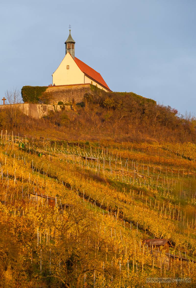 Wurmlingen chapel and vineyard in autumn afternoon sun