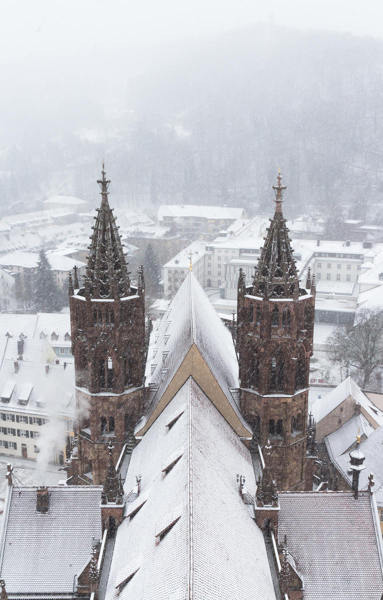 Freiburger Mnster im Schneegestber