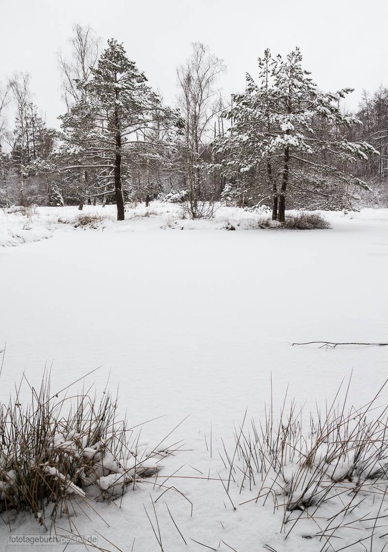 Birkensee (Schnbuch) zugeschneit im Winter