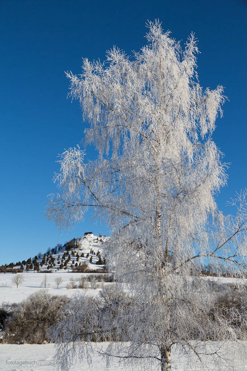 view of Salmendingen Chapel on the Kornbhl mountain in winter, tree with hoarfrost in the foreground