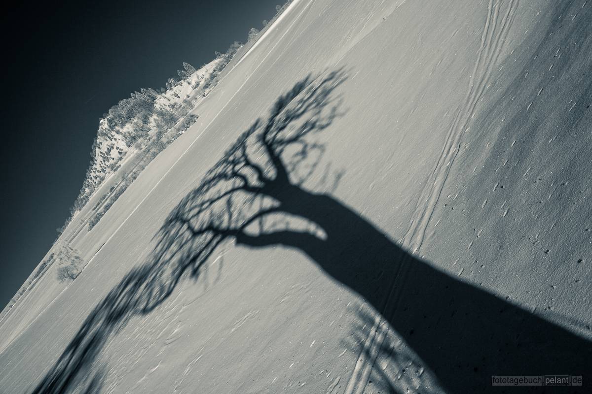 Langer Schatten eines Baumes und Kornbhl mit Salmendinger Kapelle auf der Schwbischen Alb mit Schneedecke im Winter