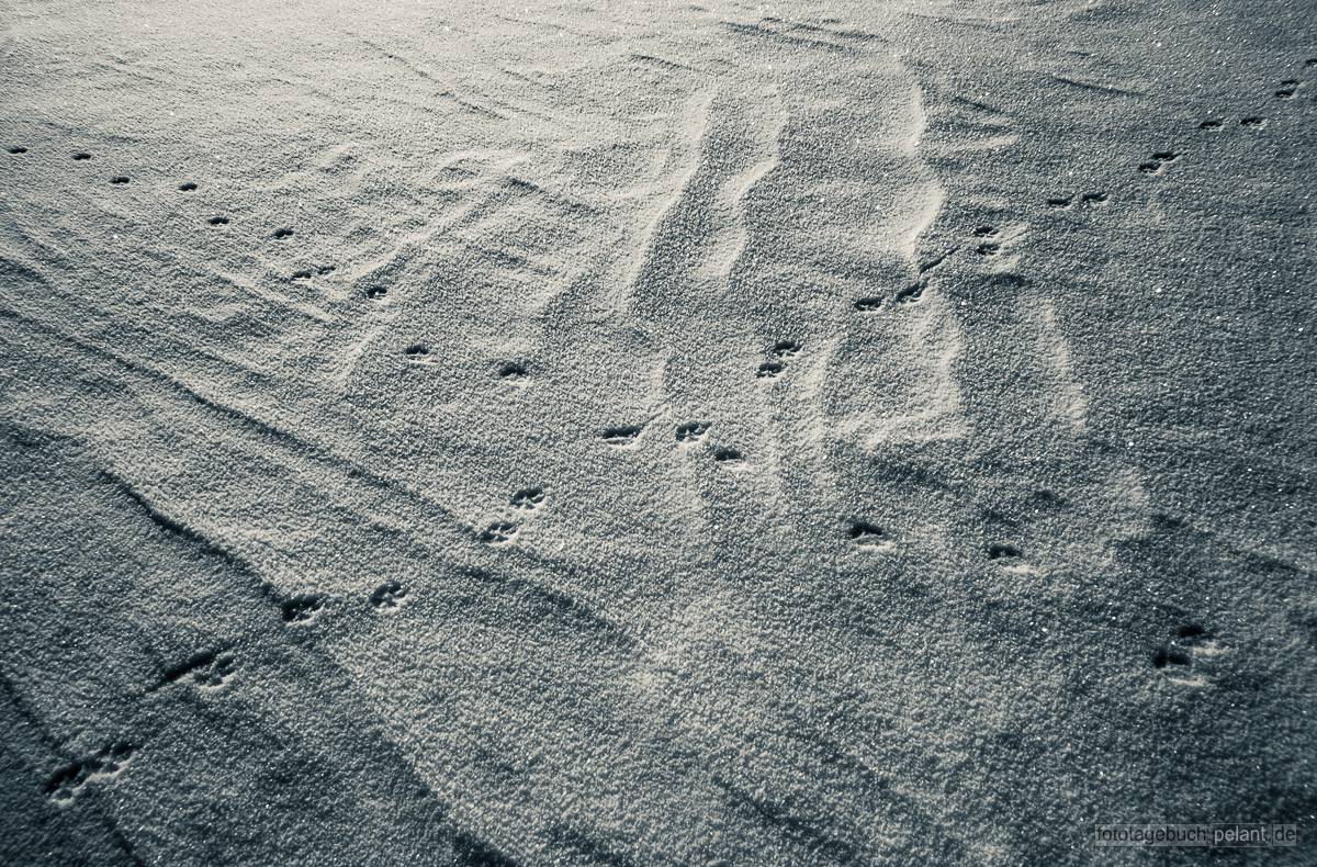 Strukturen im Schnee mit sich kreuzenden Hundespuren