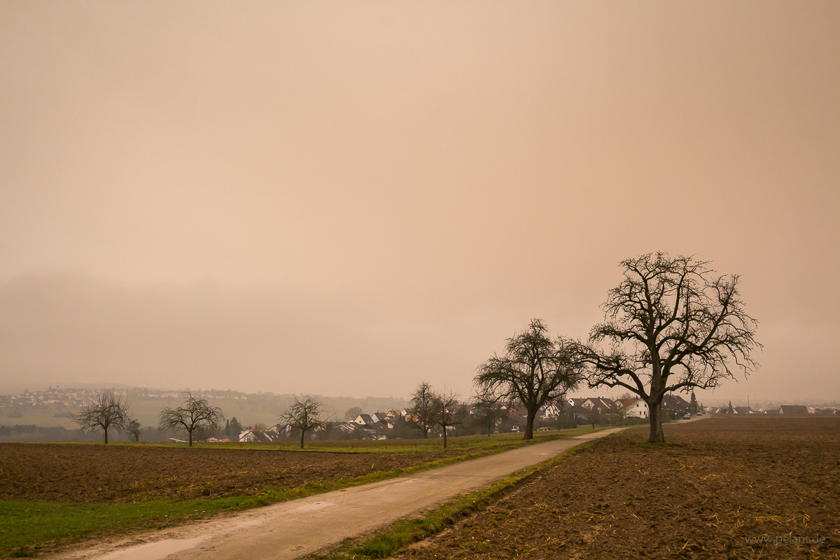 orange overcast sky due to dust particles from the Sahara in the atmosphere