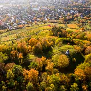 aerial view of Metzinger Weinberg in autumn