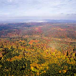 aerial view of Schnbuch forest in autumn with Schaichtal and Betzenberg hill
