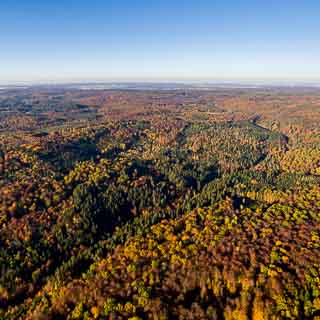 aerial view of the Schnbuch forest in autumn in the Kirnbachtal area