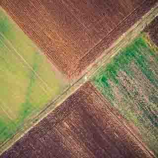 aerial view of fields in winter