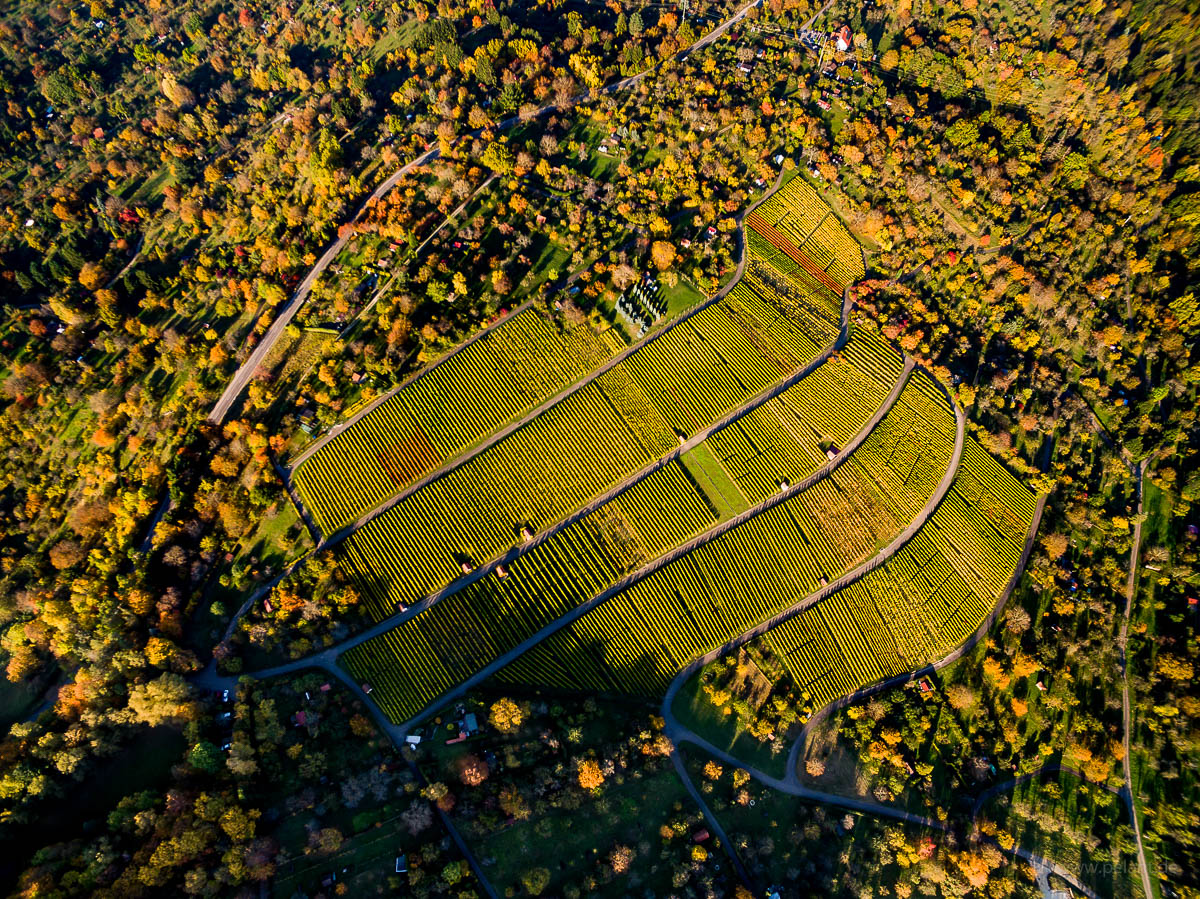 Luftaufnahme des Hinteren Metzinger Weinbergs zwischen herbstlichen Streuobstwiesen