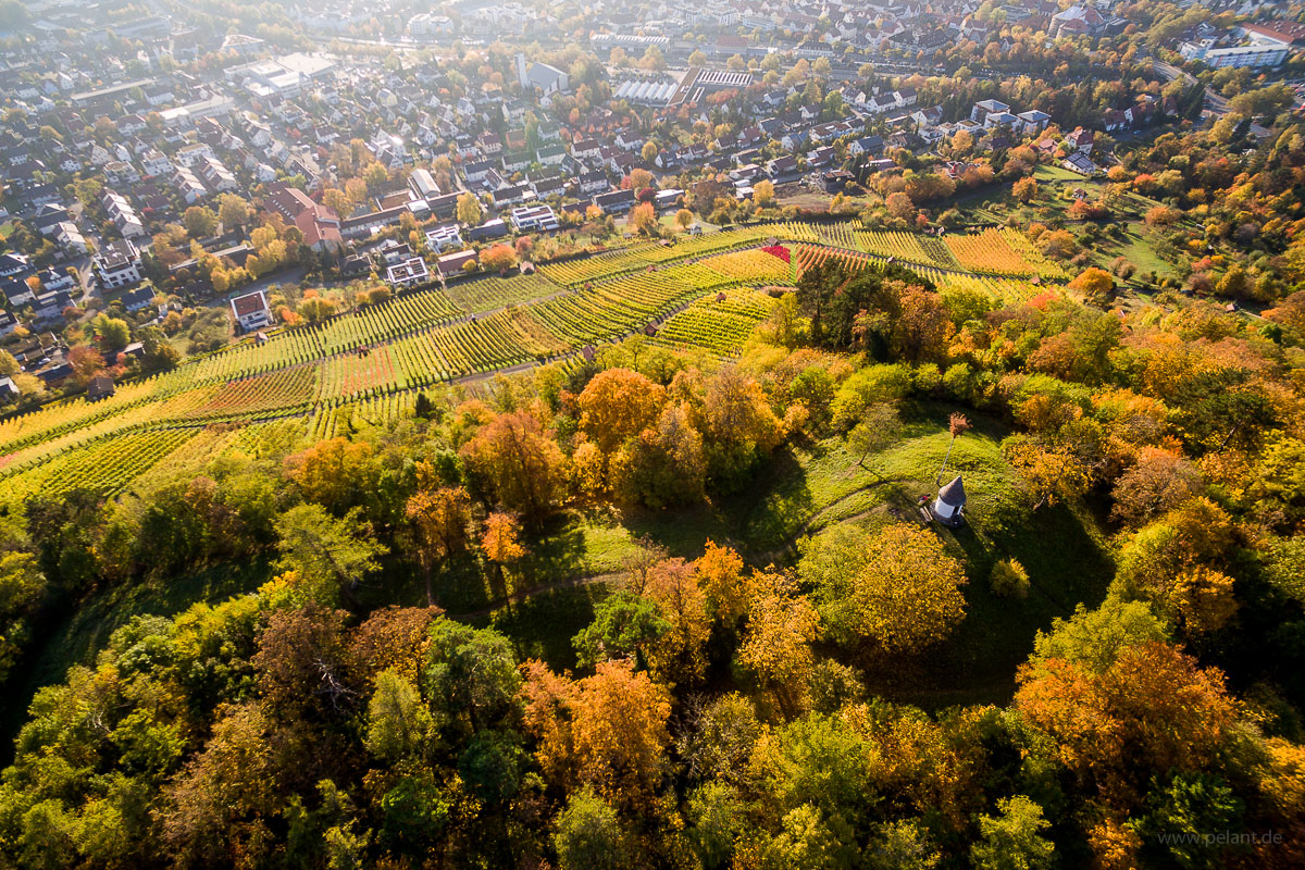 aerial view of Metzinger Weinberg in autumn