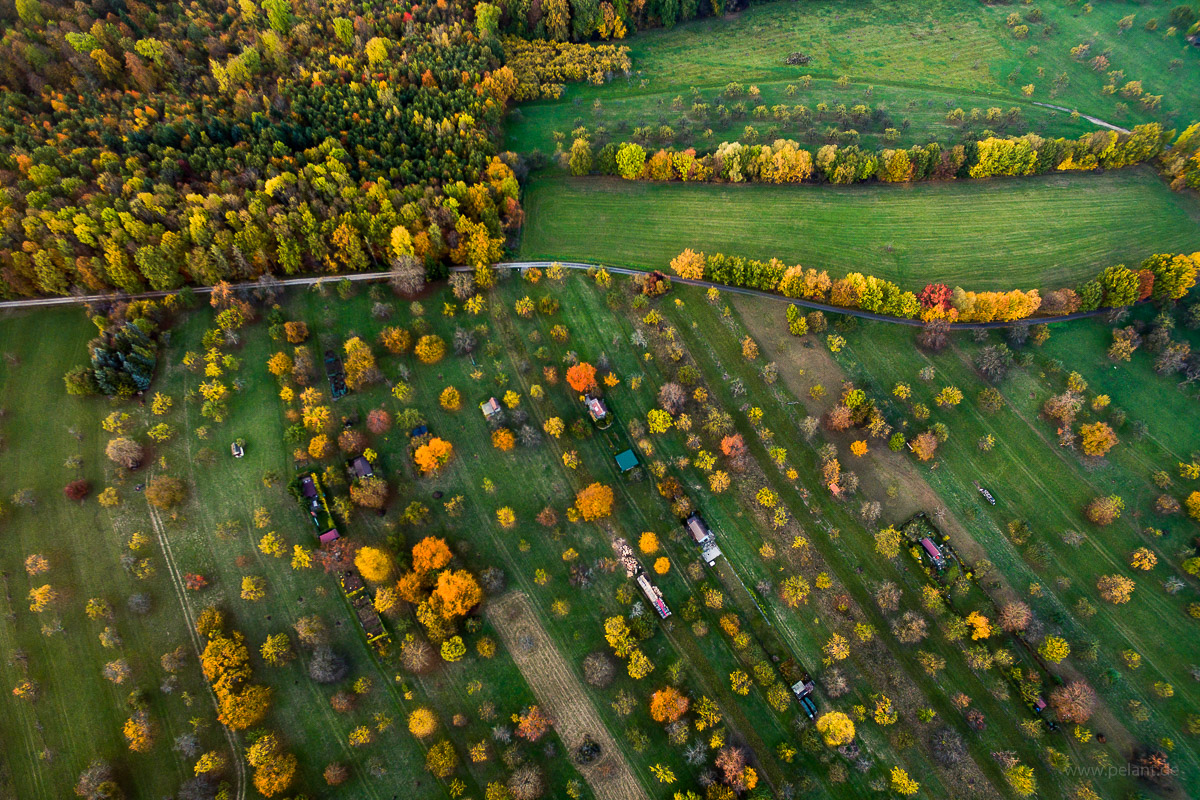 Streuobstwiese (orchard) in autumn, aerial view
