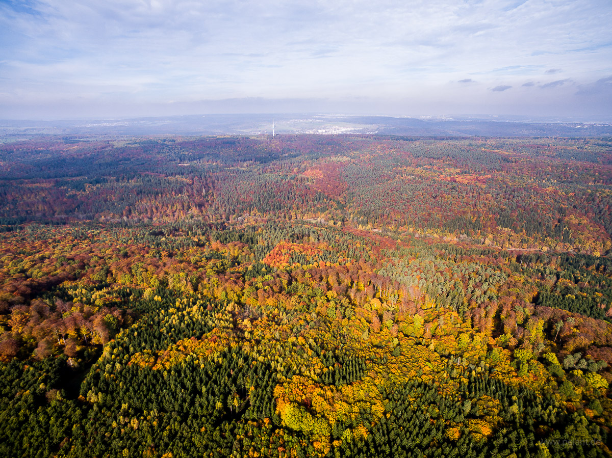 aerial view of Schnbuch forest in autumn with Schaichtal and Betzenberg hill