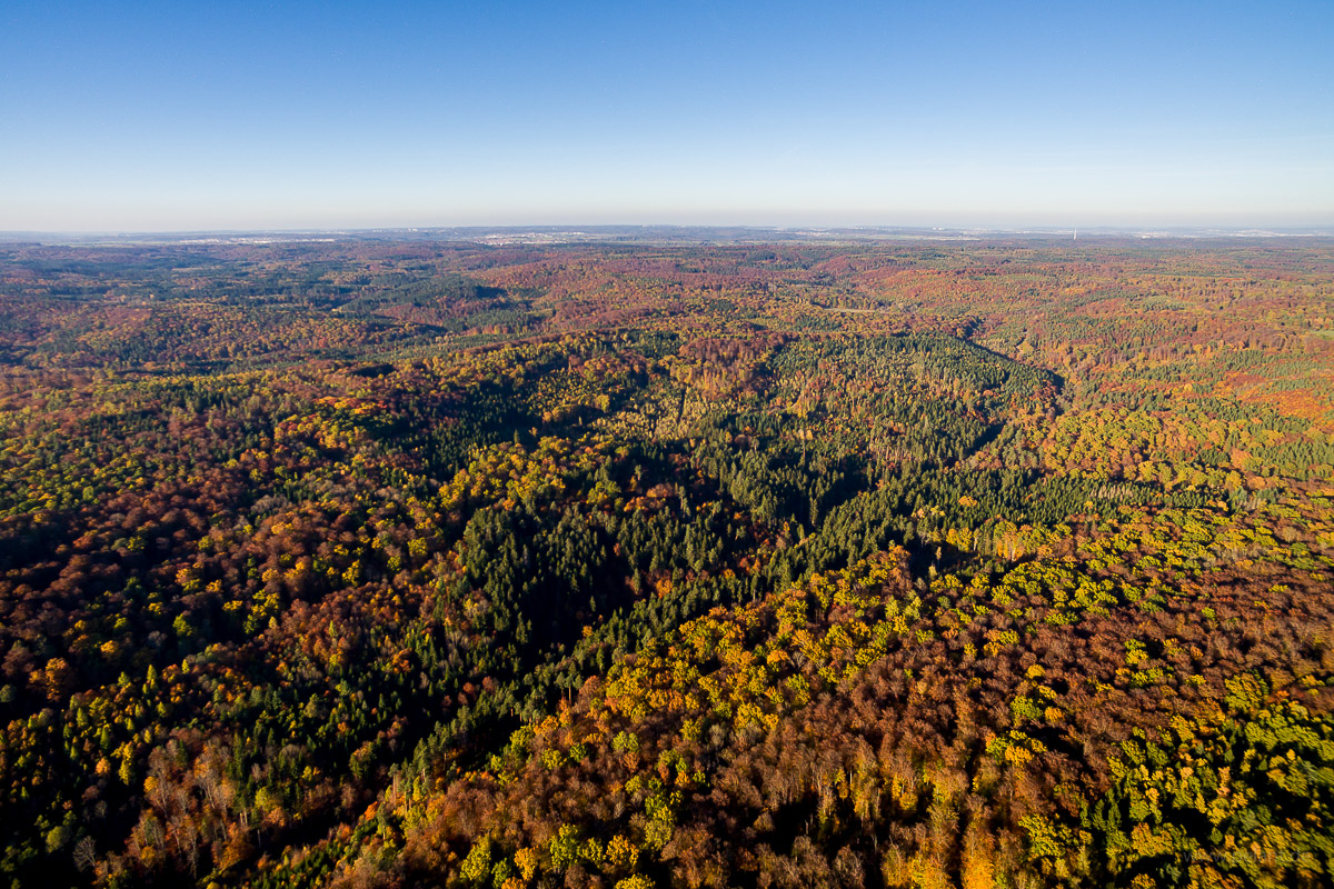aerial view of the Schnbuch forest in autumn in the Kirnbachtal area