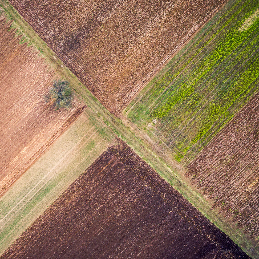 Luftaufnahme von Feldern in winterlichen Farben Anfang Februar mit diagonal verlaufendem Feldweg